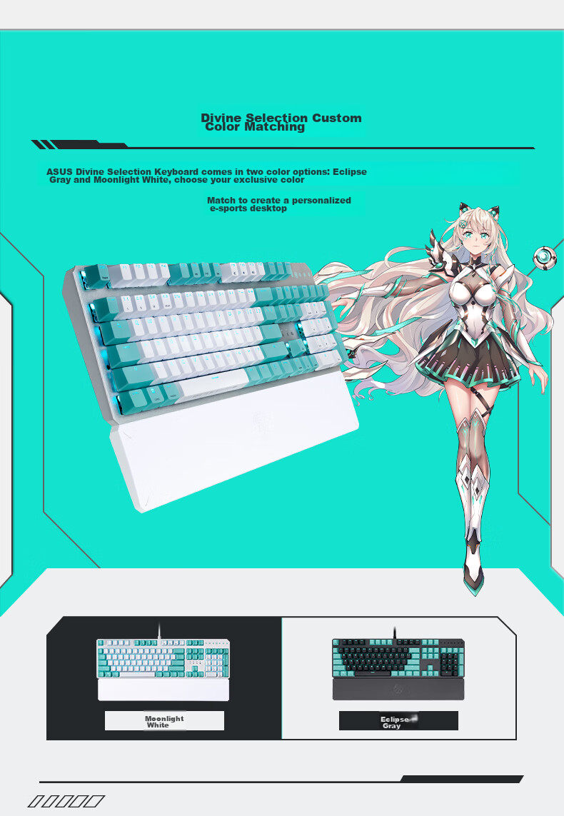 ASUS TUF Gaming TX75 Magnetic Axis Keyboard TTC Magnetic Switches Tri-Mode Gaming Keyboard Gasket Mount Structure 75% Layout 8K Report Rate Valorant 1
