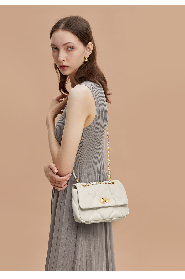 CASSILE Women's Handbag, Shoulder Bag, Quilted Pattern, Large Capacity, Chain Strap, Light Luxury Crossbody Bag, 520 Gift 15