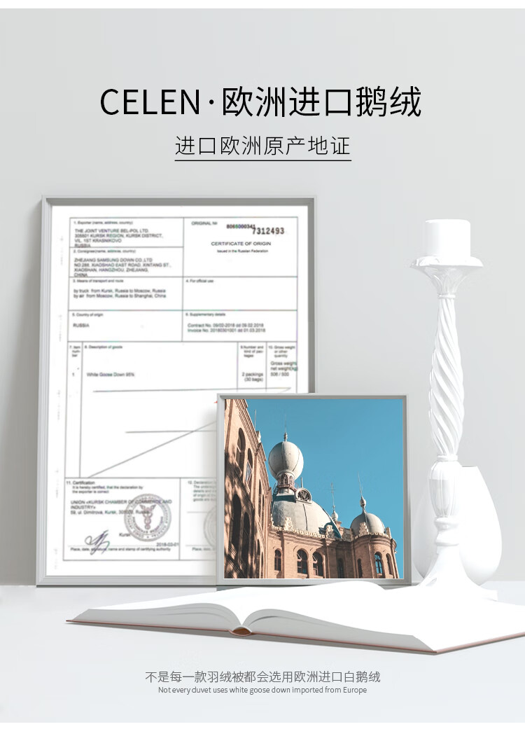 88563-CELEN羽绒被 欧洲进口 羽绒被芯95%白鹅绒被芯80支 五星级酒店家用双人秋冬被子加厚 95%白鹅绒(冬被) 200*230cm(适用1.5/1.8m床)-详情图