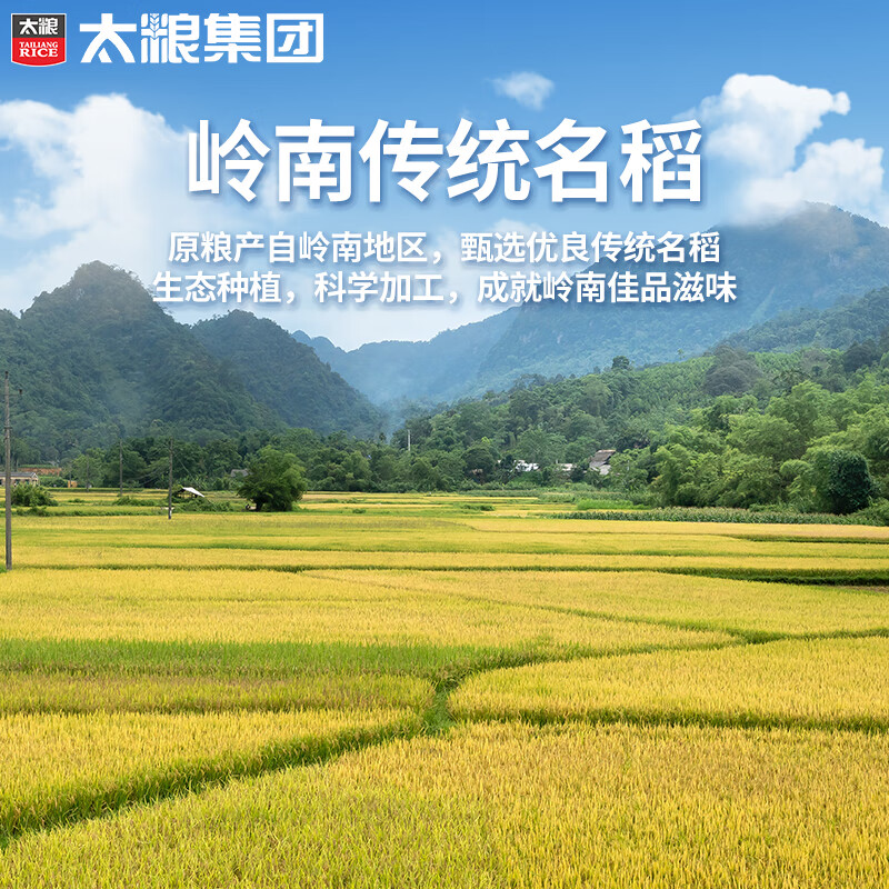 太粮 米酷马坝银粘米20斤 油粘米大米籼米10kg 长粒籼米 当季新米