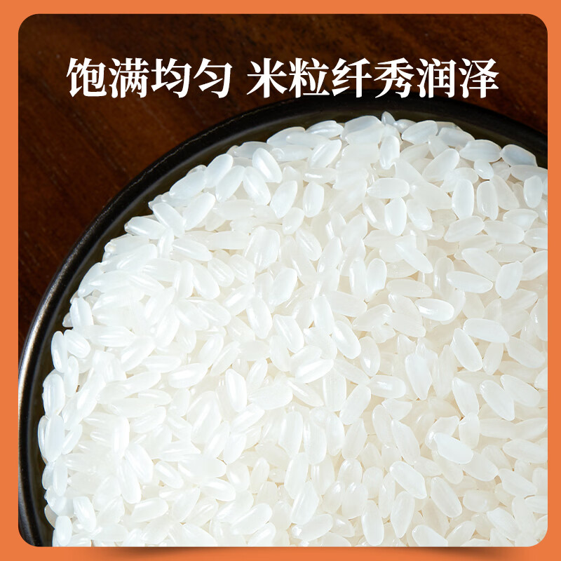 十月稻田 当季新米 长粒王香米 10斤（东北大米 长粒香米 5公斤）