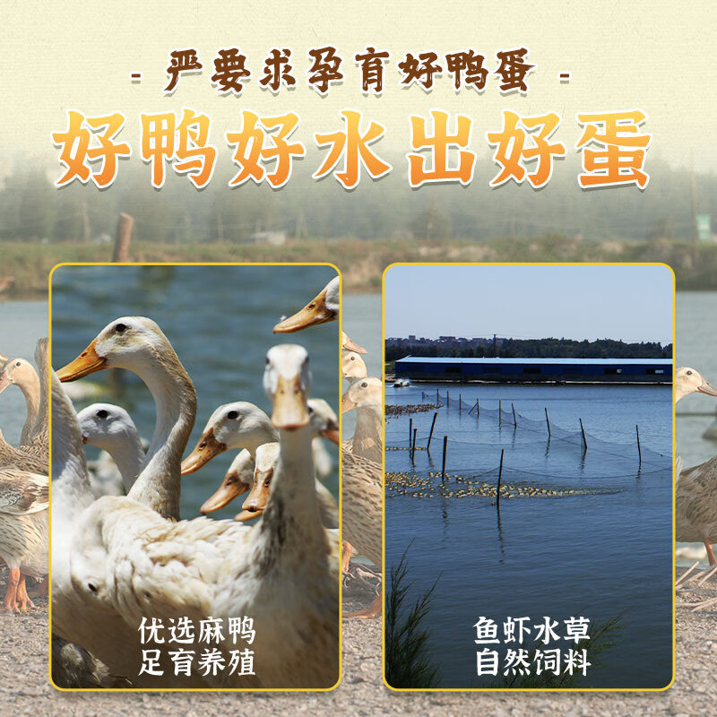 五芳斋咸鸭蛋 4只装240g 咸鸭蛋流油 早餐搭档开袋即食 独立真空包装