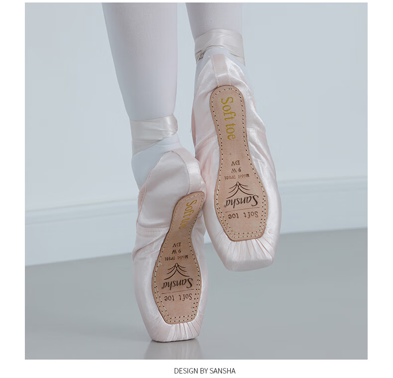 Sansha Princess Ballet Pointe Shoes, Satin Practice Shoes, Leather Sole Dance Shoes, Hard Shoes DP801SL, English Satin, Size 38 7