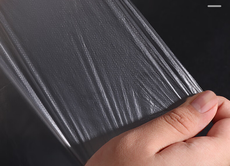 BJ Disposable Gloves Individually Wrapped Thickened Takeout Crayfish Catering Food Grade PE Plastic 200 Small Packs 9