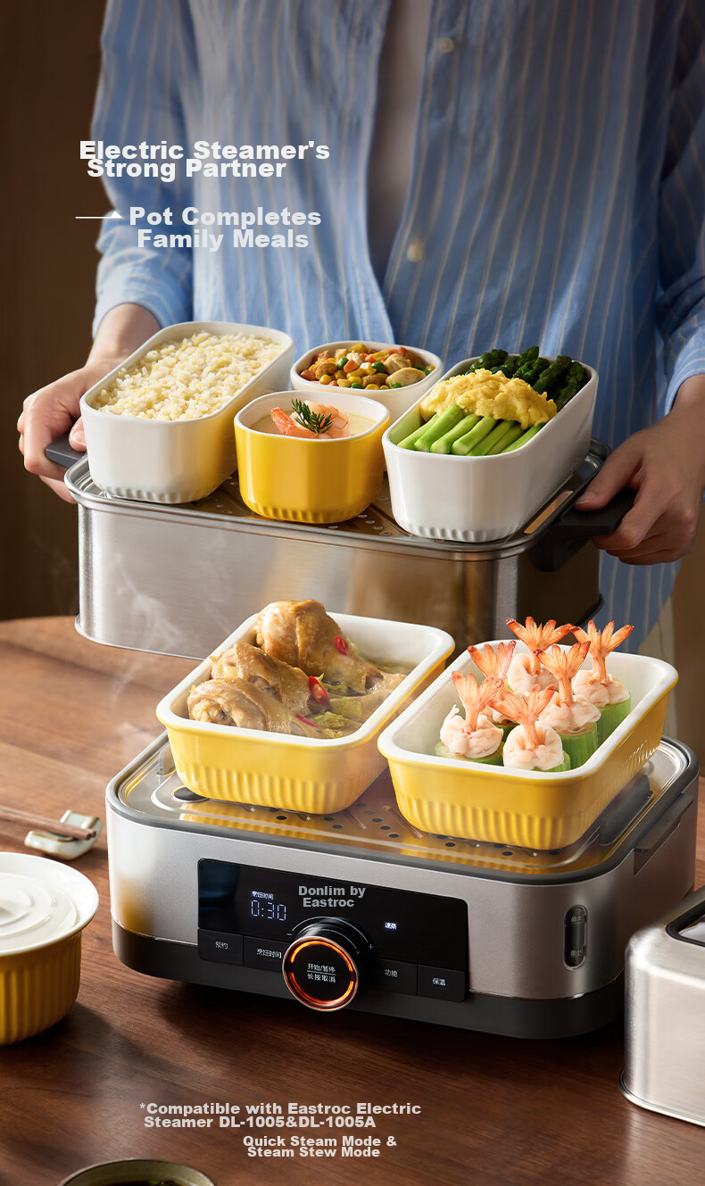 Donlim Electric Steamer DL-1005, Multi-Functional Pot for Home Use, Ceramic Steaming And Stewing Pot, Square Container Accessory, 250ML*2 5