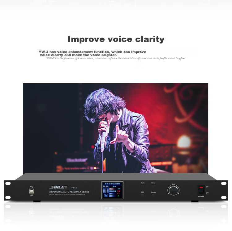 SHILE YW-3 Professional Feedback Suppressor, Professional Microphone, Automatic High-Speed KTV, High-Power Audio Equipment, Conference Room Gooseneck Microphone, Anti-Howling Processor 10