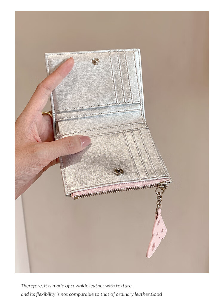 Toutou Coin Purse, Woven Storage Card Holder, Multi-Card Slots, Large Bill Clip, Silver Clutch, Gift for Girls And Best Friends, Travel And Birthday Present 10