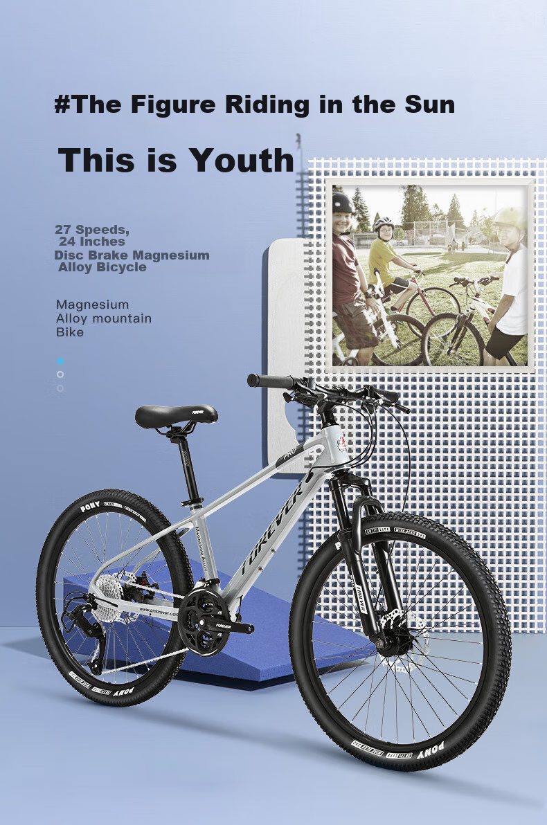 FOREVER Mountain Bike, 27-Speed, 26-Inch, for Men And Women, Adult And Youth, City Off-Road Bicycle, Nebula Gray 20