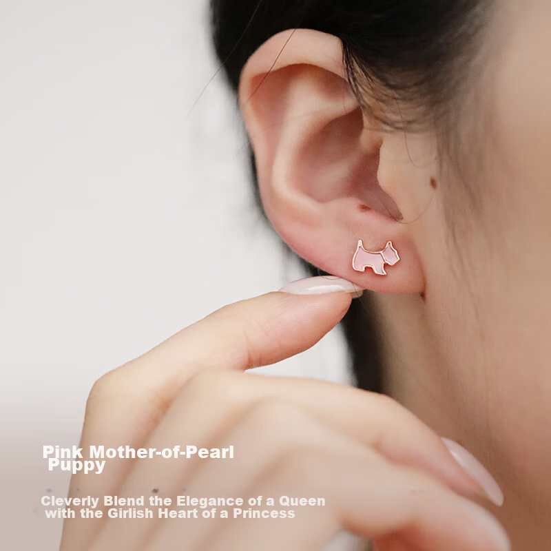 AGATHA Colorful Destiny Light Luxury Silver Stud Earrings for Women, New Year Birthday Gift for Girlfriend, Elegant Earrings