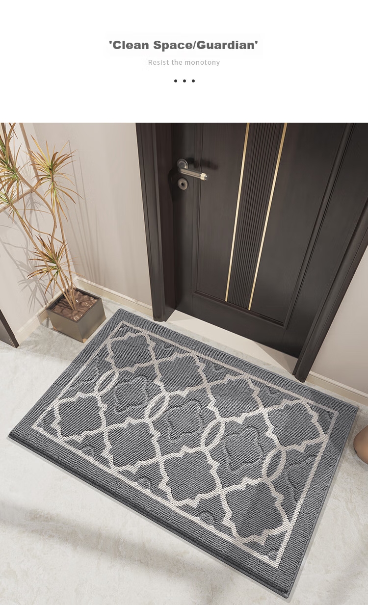 Dajiang Entrance Mat, Doorway Rug, Luxurious High-End Foyer Mat, Indoor Door Mat, Entrance Mat, 90x150cm 9
