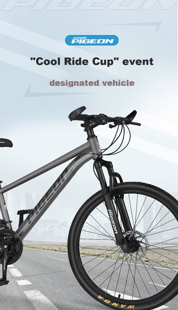FG FLYING PIGEON Bicycle for Older Children, 21-Speed Mountain Bike, Youth Shock-Absorbing Bicycle, Student Pedal Bike, 26-Inch, Gray 2