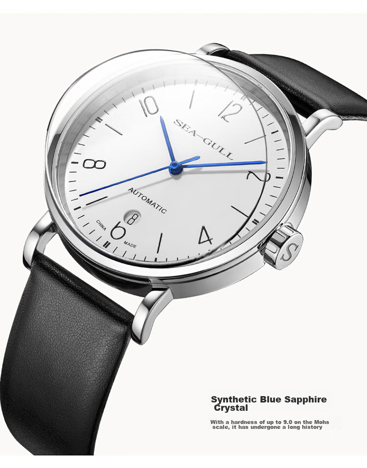 SEAGULL Men's Automatic Mechanical Watch, Bauhaus Date Display Men's Watch, Birthday Gift for Men, Model 6091 5