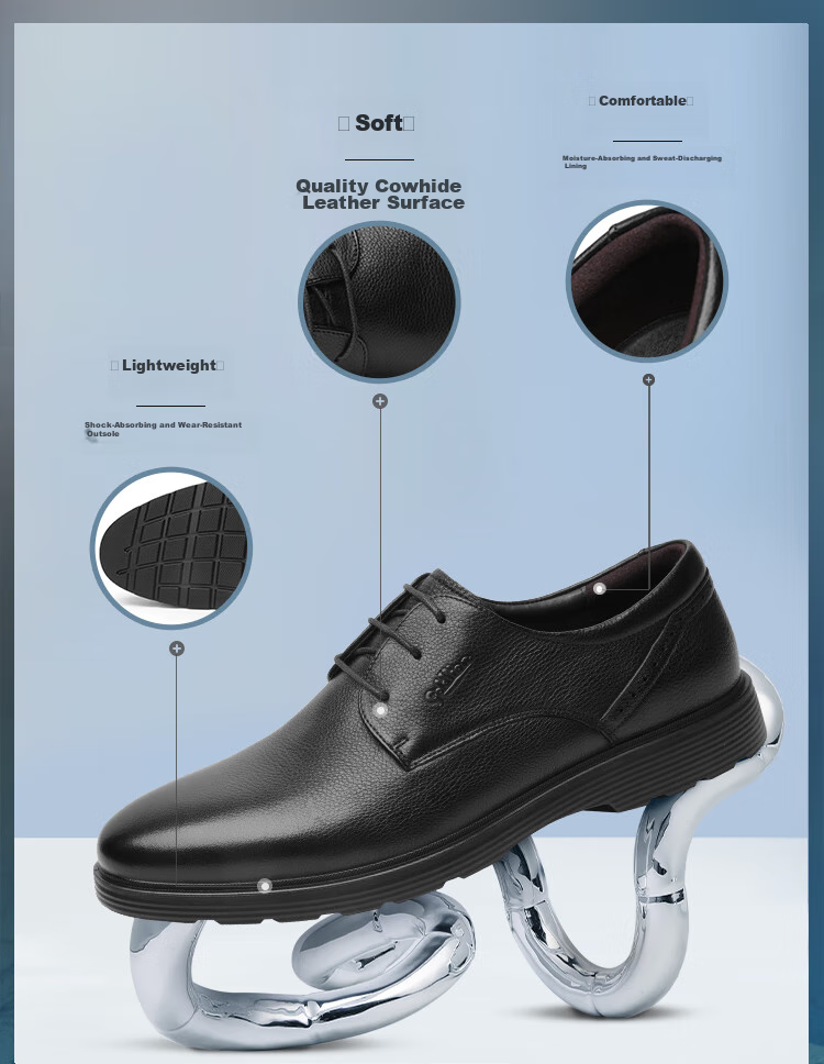 Goldlion Men's Shoes, Business Formal Shoes, Autumn Simple Lace-Up Dress Shoes, Lightweight Leather Shoes, 59674007501A, Black, Size 40 2