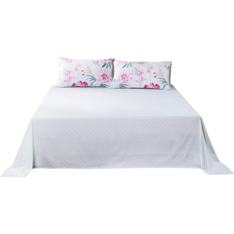 FUANNA Pure Cotton Single Bed Sheet, All-Cotton Antibacterial Bedding, Double Extra Large 1.8m/2m Bed (260*240cm), Cloud Patter