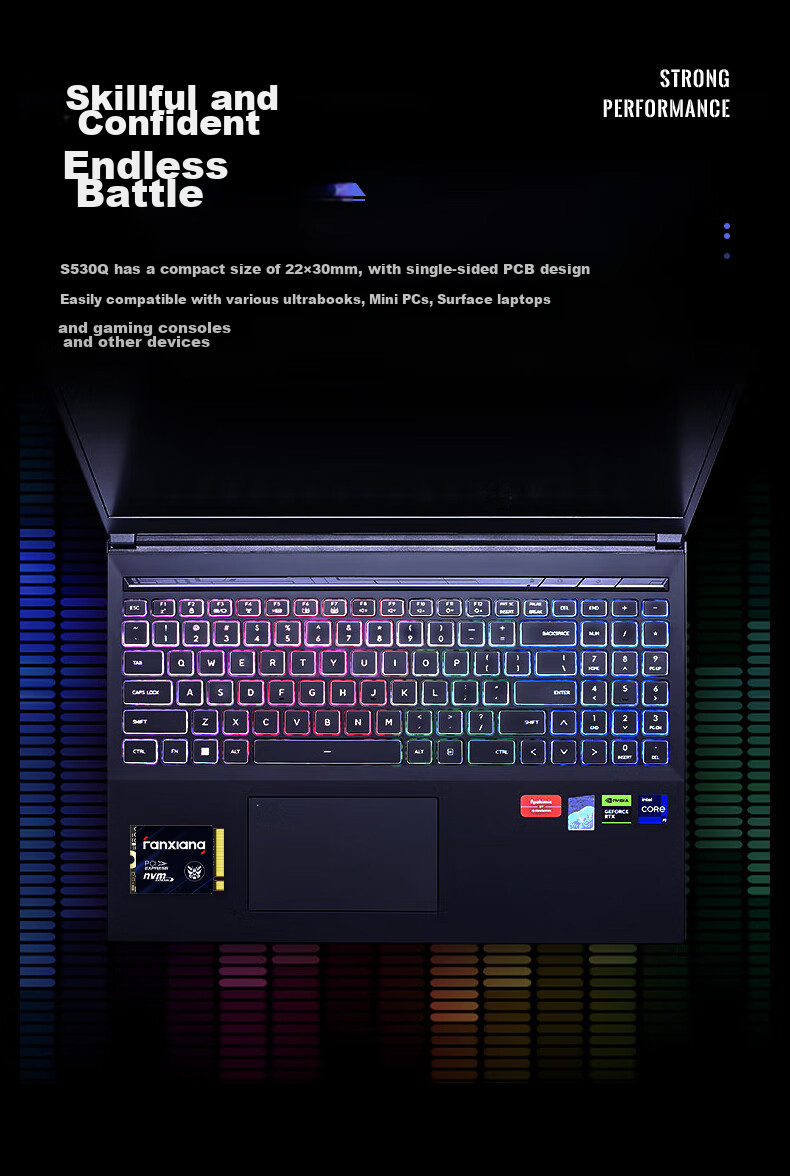 FANXIANG 500GB SSD Solid State Drive M.2 Interface NVMe Protocol PCIe 3.0 2230 Small Size Specification Computer Gaming Machine Expansion Hard Drive S530Q 6