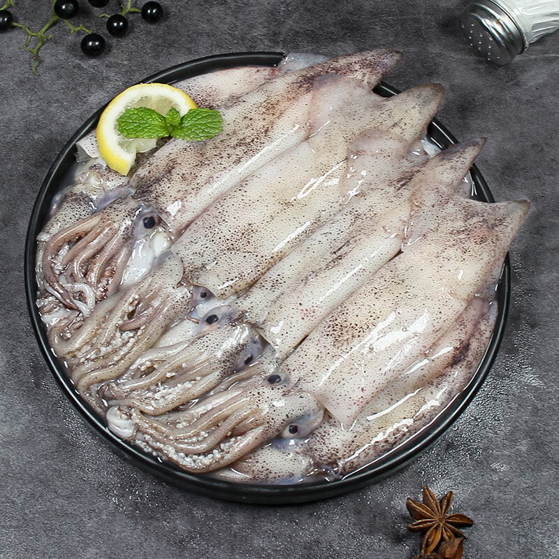 富海锦鲜冻笔管鱿鱼1斤鱿鱼 海兔子 墨斗鱼 火锅烧烤食材海鲜生鲜软足类