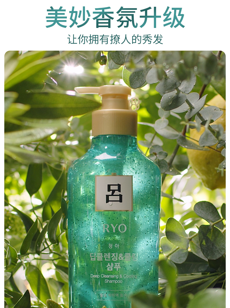 韩国进口吕ryo绿吕止痒控油去屑洗发水500ml清爽控油去屑止痒