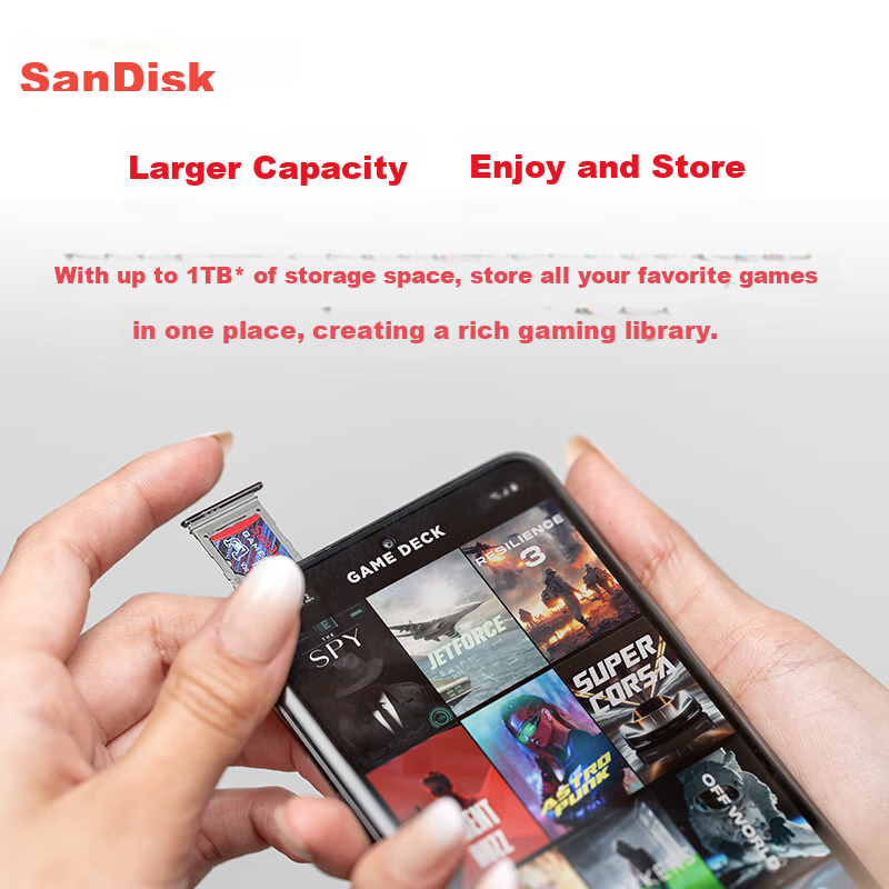 SanDisk (S-01288202