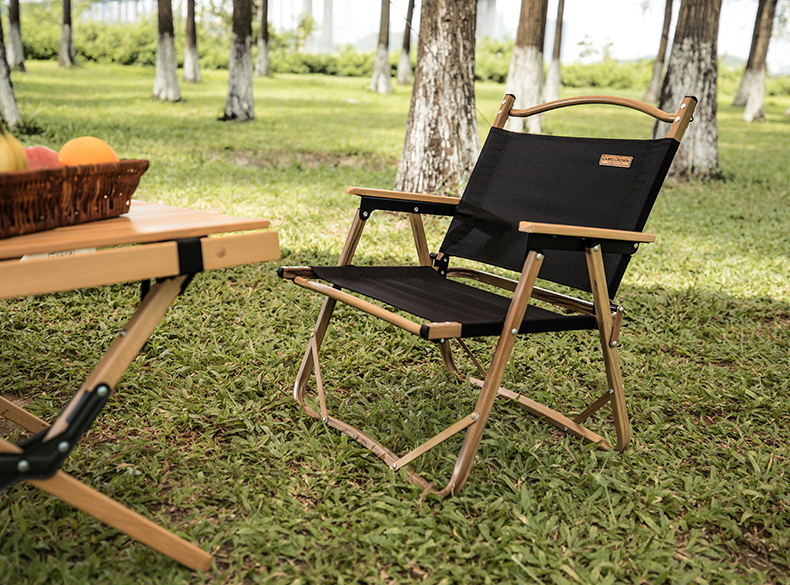 CAMEL Outdoor Folding Chair, Ultra-Light Portable Leisure Armchair, Camping Picnic Kimit Director Fishing Stool, Backrest Lounge Chair 3