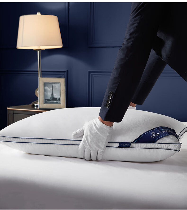 Canasin Hilton Hotel down Pillow, 95% Hungarian White Goose Down Pillow Core, Single Pack, 74*48cm Low Pillow 11