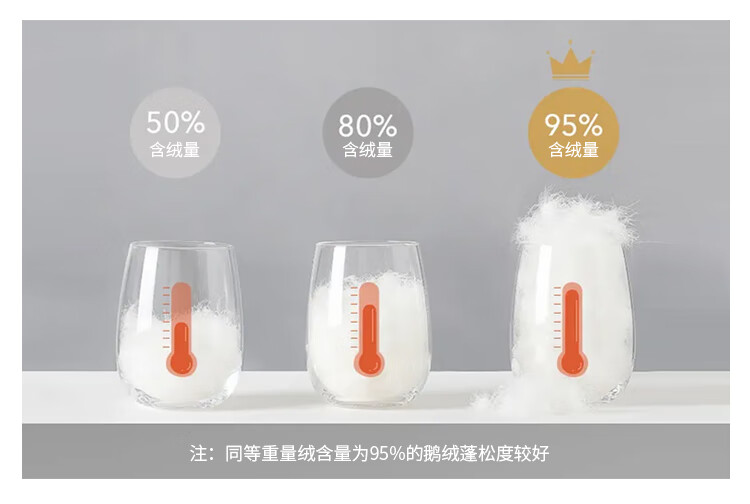 88563-CELEN羽绒被 欧洲进口 羽绒被芯95%白鹅绒被芯80支 五星级酒店家用双人秋冬被子加厚 95%白鹅绒(冬被) 200*230cm(适用1.5/1.8m床)-详情图