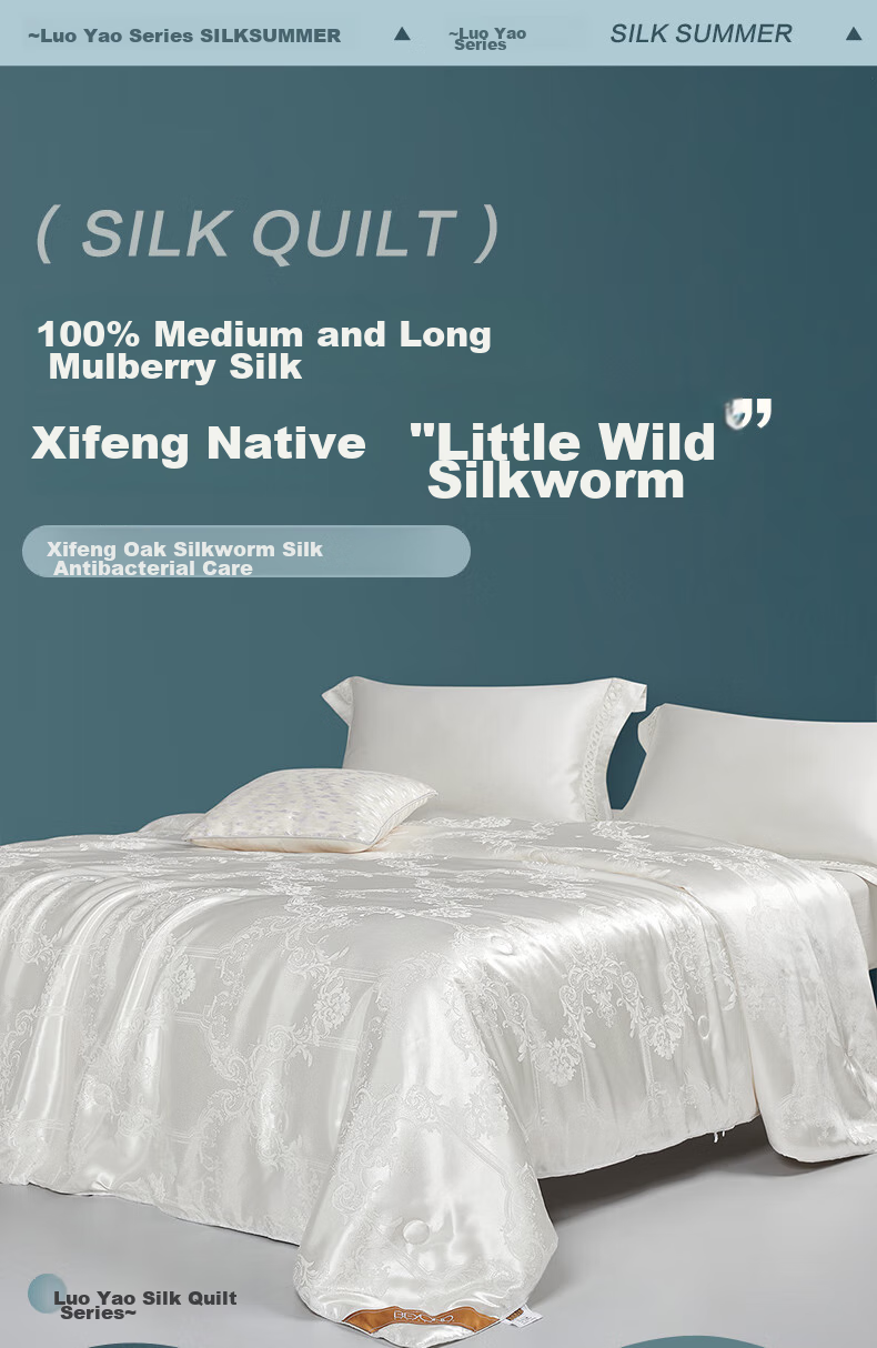 BEYOND Home Textiles 100% Silk Duvet, Antibacterial Thickened Spring And Autumn Comforter, Approximately 5.8 Jin (2.9 Kg), 220*240cm 1