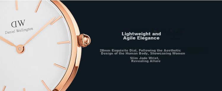 DanielWellington DW Ladies Watch, Niche Luxury Gold-Plated Steel Strap Quartz Wristwatch, Birthday Gift for Girlfriend, DW231 2