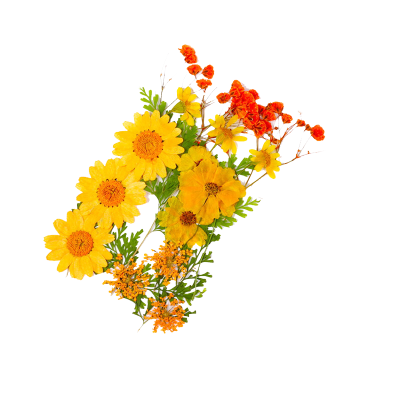 Jiamo [Popular Product], Transparent Dried Flower Bookmark DIY Craft Kit, Specimen PVC Laminating Film, Creative Plant Leaf Embossed Petals, Hanging Bottle Collection for Summer