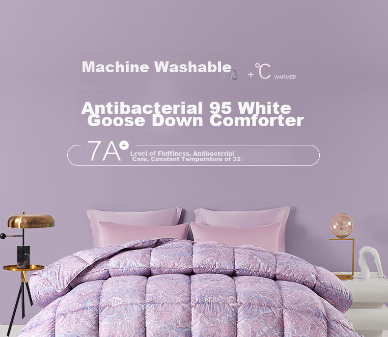 BEYOND Home Textiles down Comforter Antibacterial Washable 95% White Goose Down Winter Quilt 1000g Filling 220*240cm 1