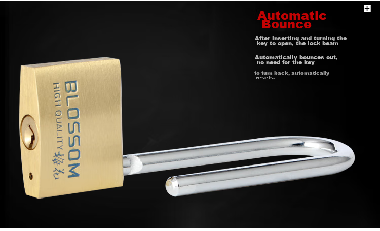 BLOSSOM Brass Padlock, Long Shackle Lock, Indoor Door Dormitory Lock, Waterproof Rust-Proof Lock, Student Drawer Cabinet Lock BC074L 5