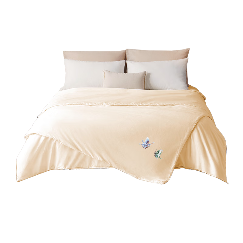 JD Original 100% Mulberry Silk Comforter, Winter Quilt, Silk Duvet Insert, Embroidered Winter Comforter, 2x2.3m, Approximately 6.6 Ji