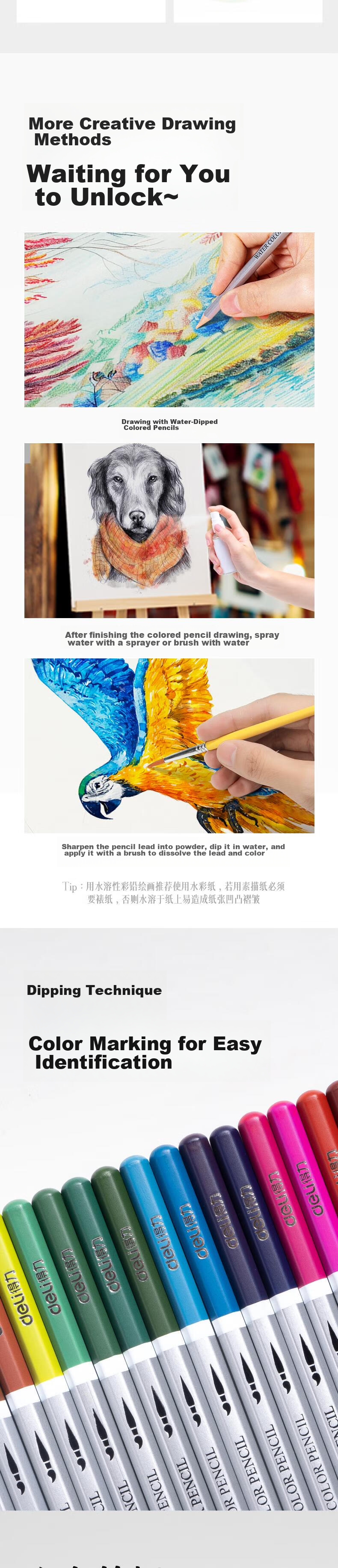 Deli Master Colored Pencils, 36 Colors in Tin Box, Water-Soluble, for Students' Art Major, Hand-Drawn Coloring And Painting Set (With Brush), 6522 Sketching Colored Pencils 3
