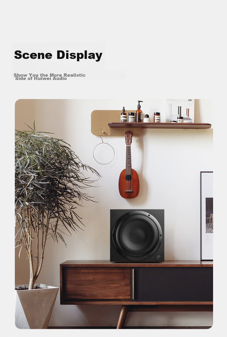 HiVi Sub10G Subwoofer Speaker, Home Theater Active Subwoofer, Living Room Audio System, 10-Inch Speaker, Wooden Constructio 6