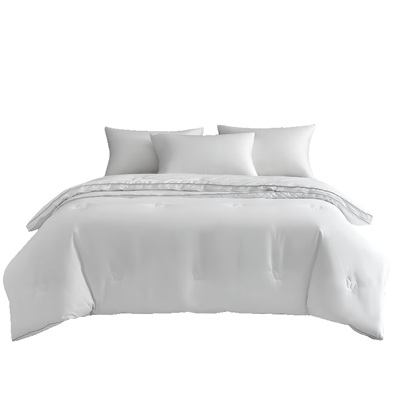 Dohia 100% Silk, 51% Australian Wool Zipper Comforter, All-Season Winter Quilt, Approximately 10.6 Jin (5.3 Kg), 203*229cm