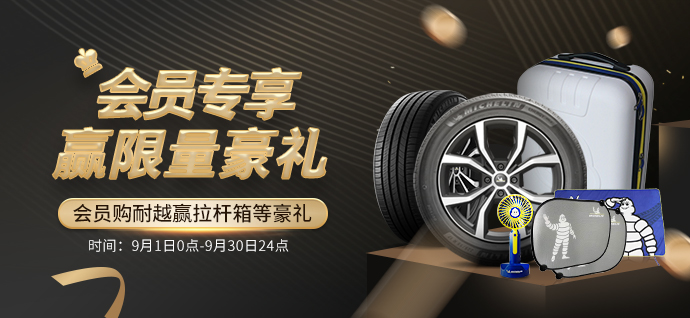 米其林215 45r17 米其林轮胎michelin汽车轮胎215 45zr17 91y 竞驰pilot Sport 4 Ps4 适配奔驰a级 现代朗动 行情报价价格评测 京东