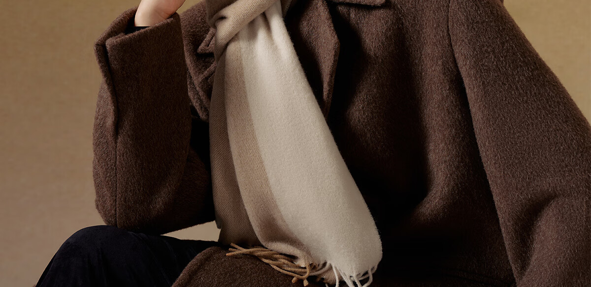 Wanshili Cashmere Scarf, Autumn And Winter Warm Neck Warmer, Fashionable Shawl for Men And Women, Gift for New Year And Holiday Season, Gift Box - Fenghua Ji 21