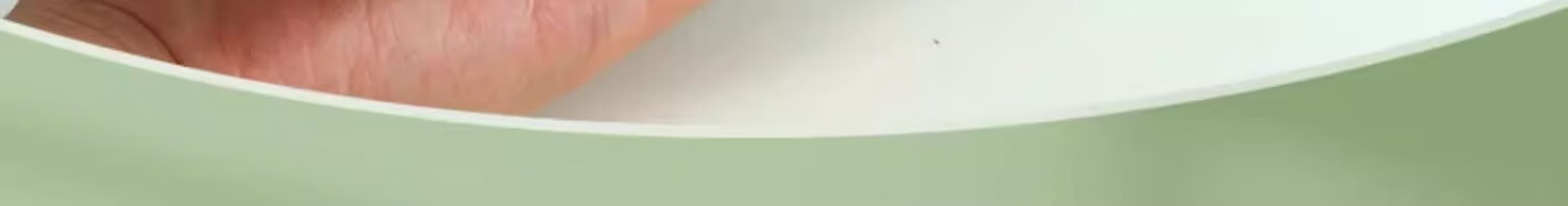 Mingyu Transparent Mesh Pencil Case for Middle School Entrance Exam, Double-Layered Transparent Stationery Box for Primary And Secondary School Students, Aesthetically Pleasing Simple Pencil Case for Boys And Girls, Avocado Gree 4