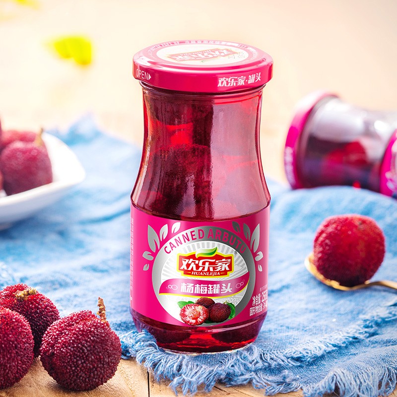 欢乐家杨梅罐头256g*12瓶 新鲜水果罐头礼盒送礼 休闲零食