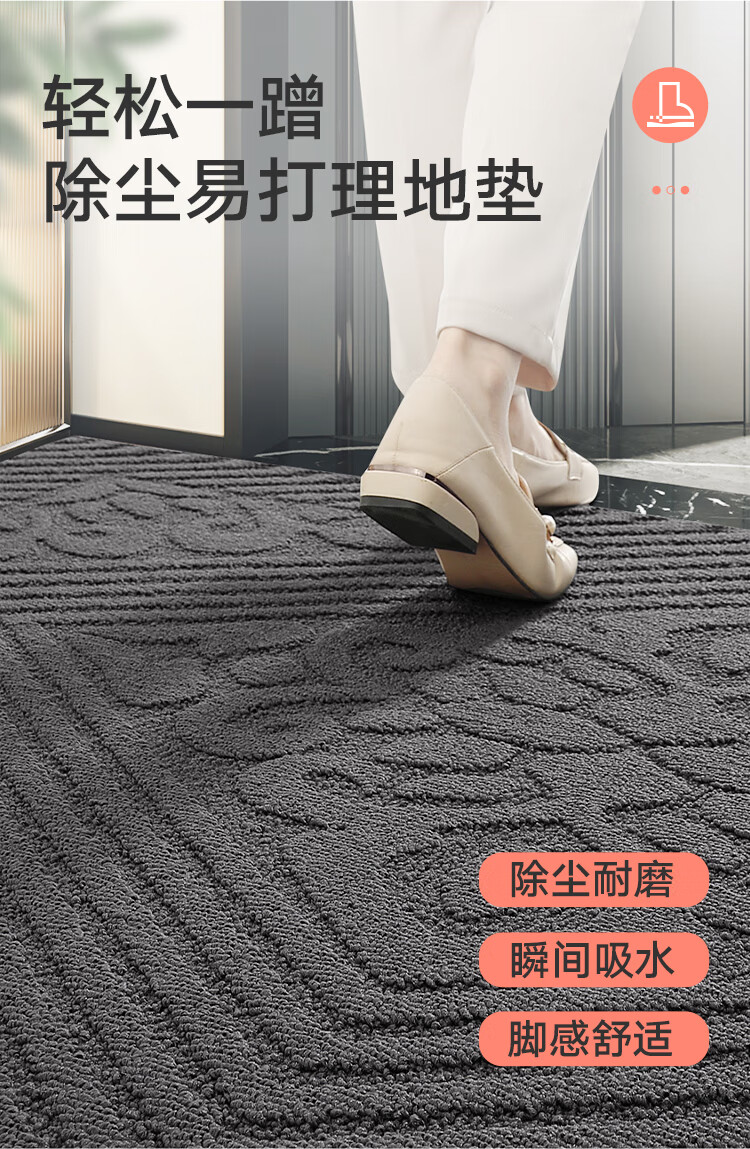 Dajiang Entrance Mat, Doorway Rug, Luxurious High-End Foyer Mat, Indoor Door Mat, Entrance Doormat, 61x92cm 2