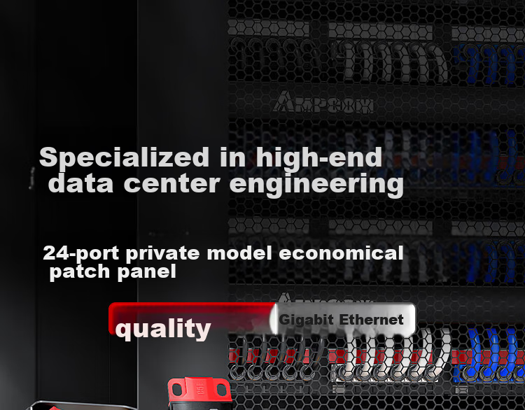 AMPCOM Patch Panel with 24 Ports, Cat5e Network Cable Patch Panel, 1U Rack-Mounted CAT5E Network Patch Panel, 15U Gold-Plated Xuerke Test AMCAT5E1924 1