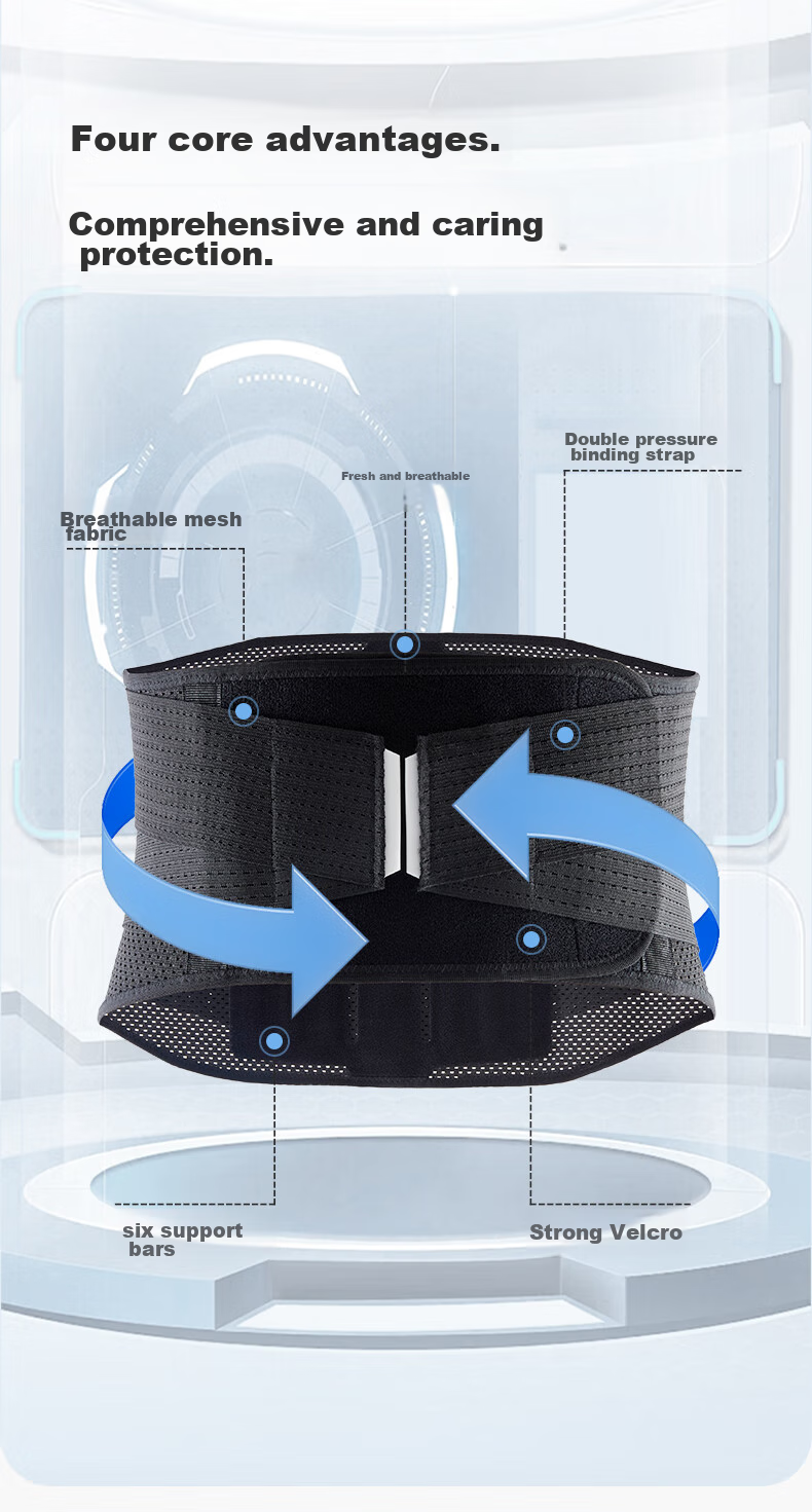 ANTA Waist Support Belt for Herniated Disc, Prolonged Sitting, Lumbar Muscle Strain, Lumbar Pain, Back Brace, Waist Protection, Back Support, Size L 3