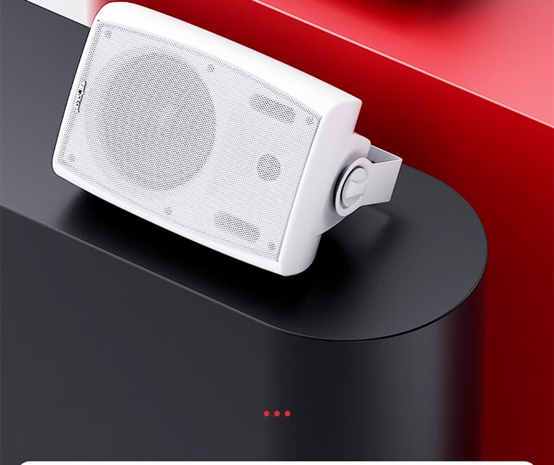 SAST 60W Wall-Mounted Speaker, Passive Wall-Mounted Speaker for Connecting Amplifier, Background Music, Public Address System, Restaurant And Conference Broadcasting, Constant Voltage DW60 Black 9