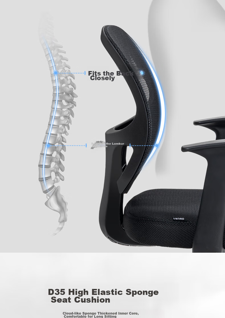 Deli 4900 Ergonomic Office Chair / Computer Chair / Staff Chair, Home Mesh Adjustable Swivel Chair 5