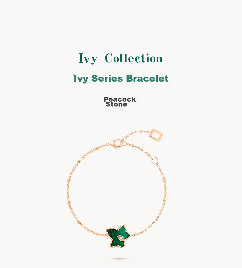 LOLA ROSE Ivy Series Bracelet for Women, Birthday Gift for Girlfriend, Wife, Or Best Friend 12