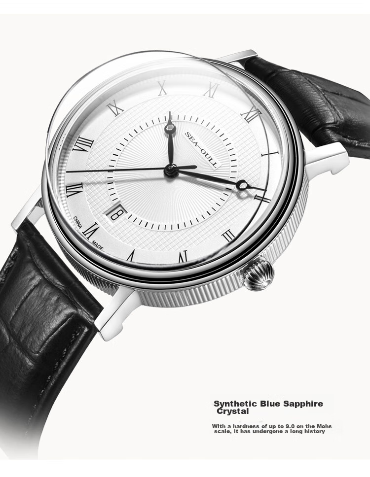 SEAGULL Men's Automatic Mechanical Watch, Bauhaus Date Display Men's Watch, Birthday Gift for Men, Model 6091 35