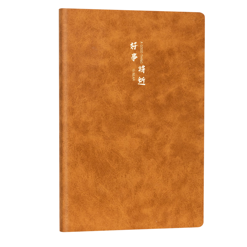 Deli Leather Notebook, Journal, Meeting Record Book, Thickened Sheepskin A5/120 Sheets Single Book BP103 Brown (Good Things Are Coming)