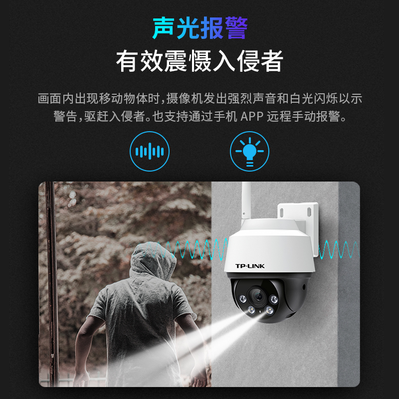 TP-LINK (T-01234273