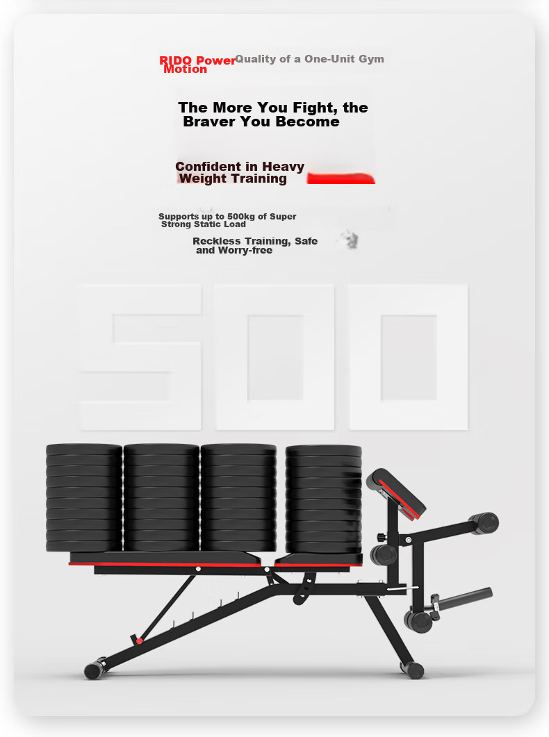 RIDO Multifunctional Dumbbell Bench, Bench Press Bench, Home Fitness Equipment, Exercise Chair, Fly Bench TD50 14