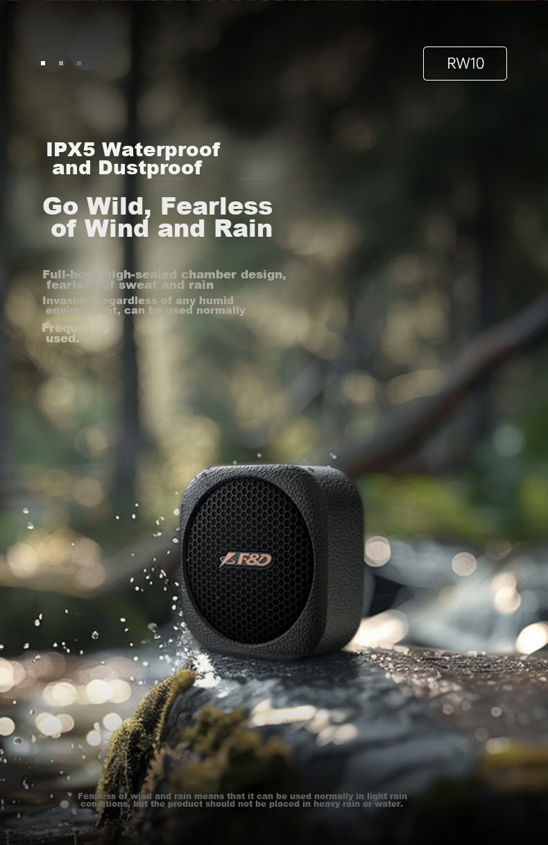 F&D RW10 Retro Outdoor Portable Bluetooth Speaker, IPX5 Waterproof, TWS Connectivity, Long Battery Life, for Camping, Hiking, Cycling, Small Speaker with Subwoofer 5