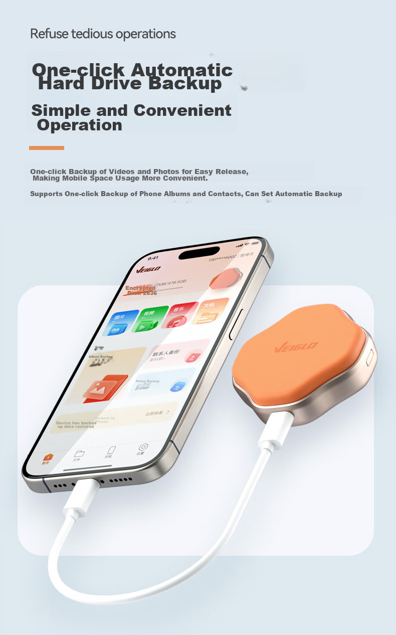 VEIGLO Portable Solid State Drive 500GB (PSSD), Direct Connection to Apple Phones via Type-C 3.2, Compatible with IPhone 16, Android Phones, And Computers, External Hard Drive 2